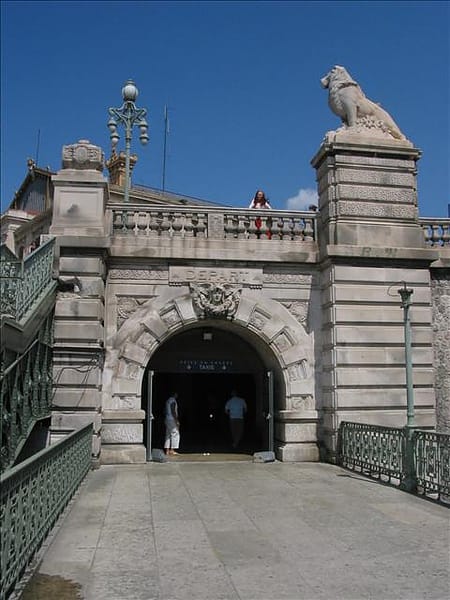 IMG_0445 IMG_0445