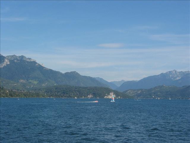 IMG_1135 IMG_1135