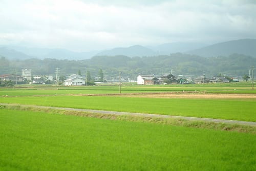 2005日本鐵道南北大縱走 Day2 鹿兒島指宿、最南端車站西大山一日遊 - 第3張圖 2005日本鐵道南北大縱走 Day2 鹿兒島指宿、最南端車站西大山一日遊