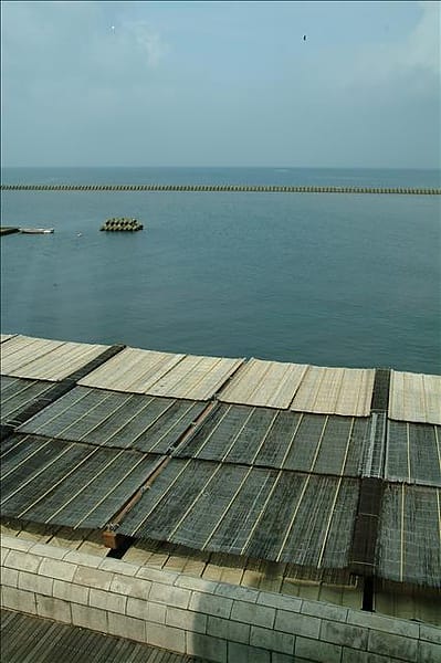 DSCF0176 DSCF0176