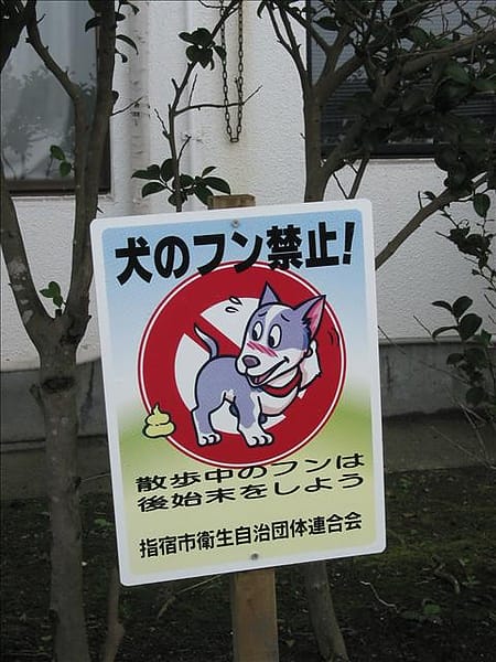 IMG_3375 IMG_3375