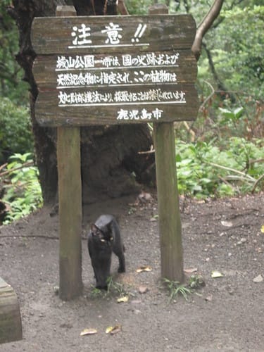 2005日本鐵道南北大縱走 Day2  鹿兒島指宿、最南端車站西大山一日遊