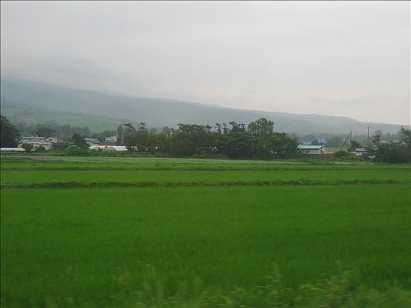 IMG_4489 IMG_4489