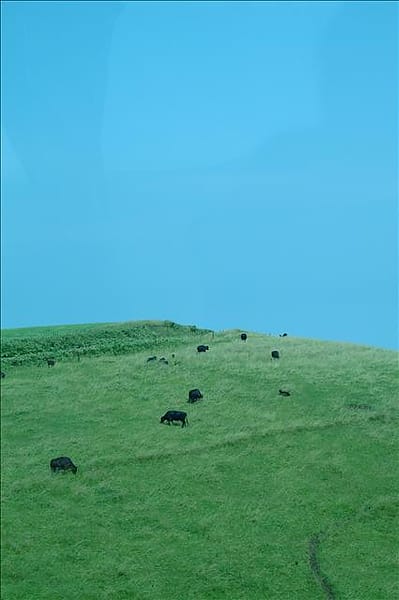 050804-234