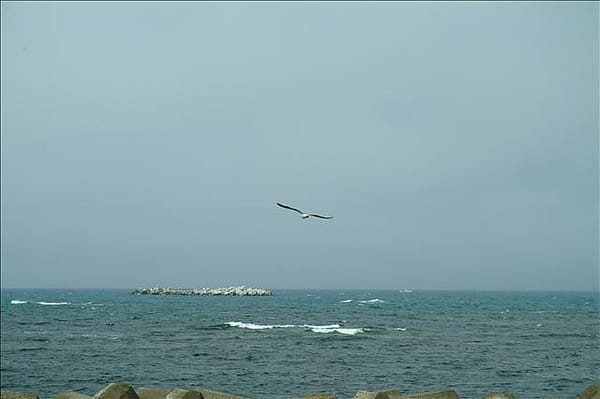 050804-230