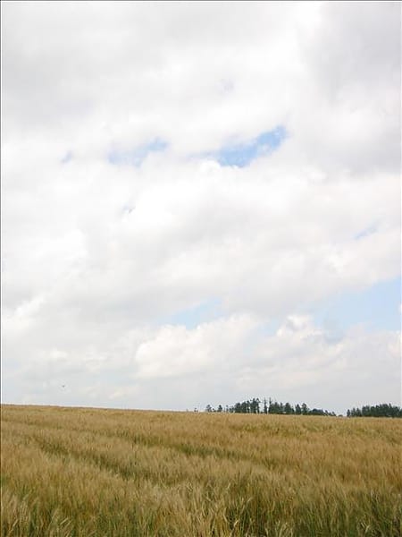 050805-253