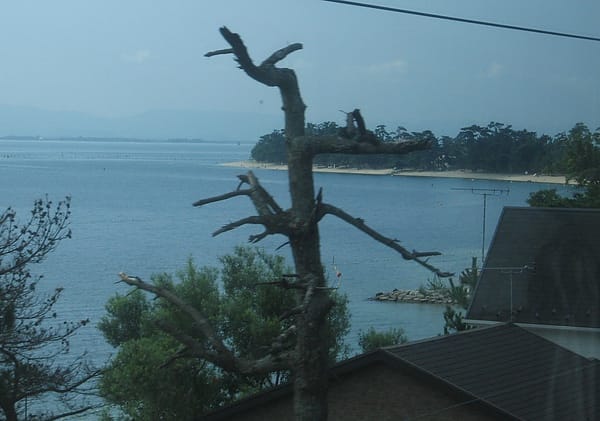 06.JPG