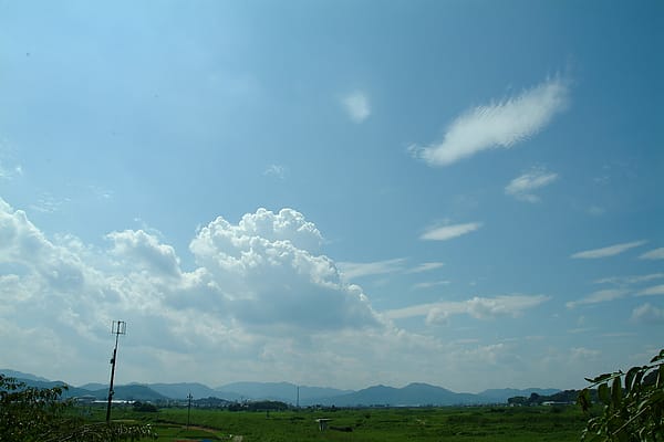 108.JPG