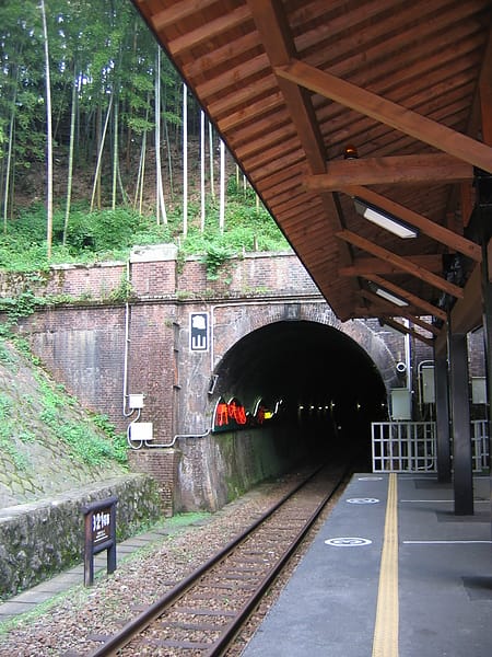114.JPG