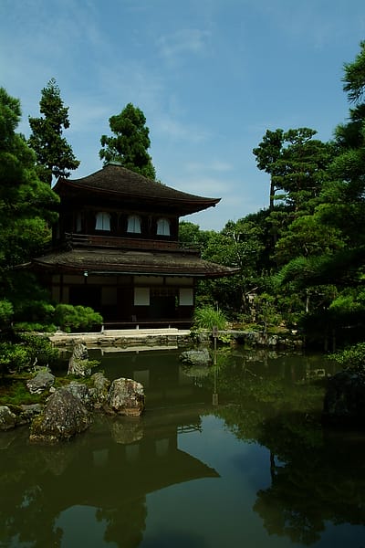 DSCF0041.JPG