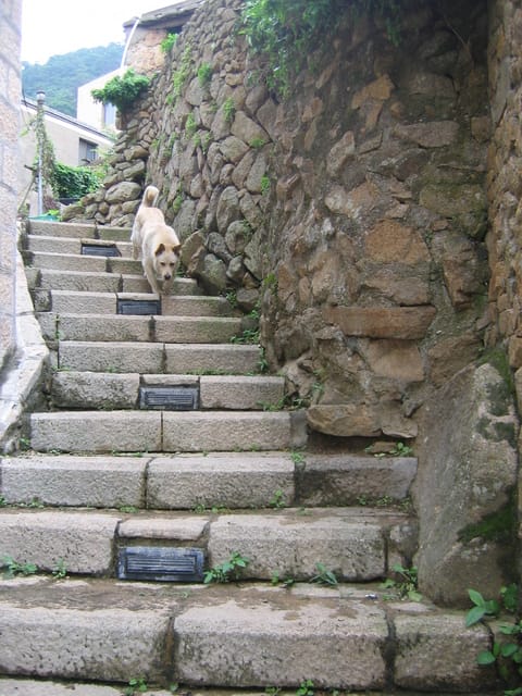 2007 閩江口的珍珠–馬祖 Day2-5 南竿‧山隴 &牛角村