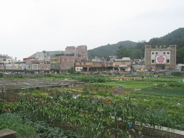 2007 閩江口的珍珠–馬祖 Day2-5 南竿‧山隴 &牛角村