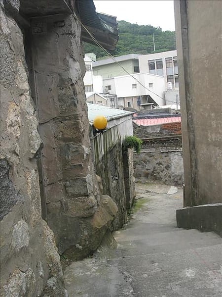 IMG_8256 IMG_8256
