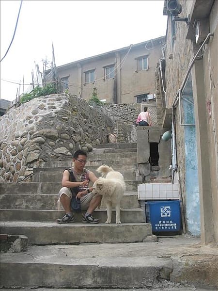 IMG_8290 IMG_8290
