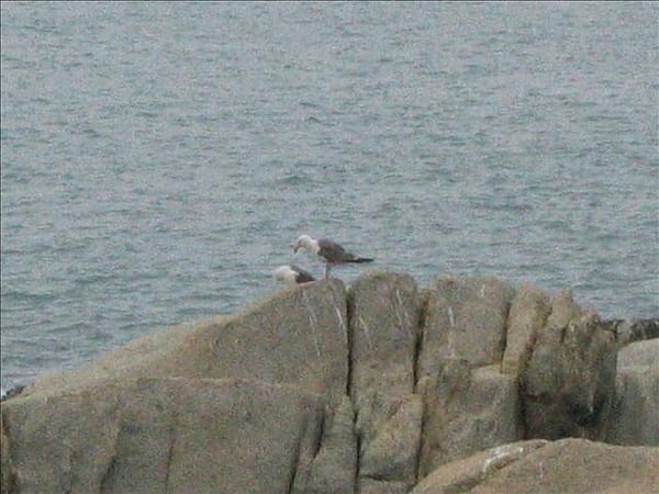 2007 閩江口的珍珠–馬祖 Day3-3 東引‧又見北海坑道 - 第6張圖 2007 閩江口的珍珠–馬祖 Day3-3 東引‧又見北海坑道