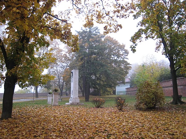 081016 048.JPG