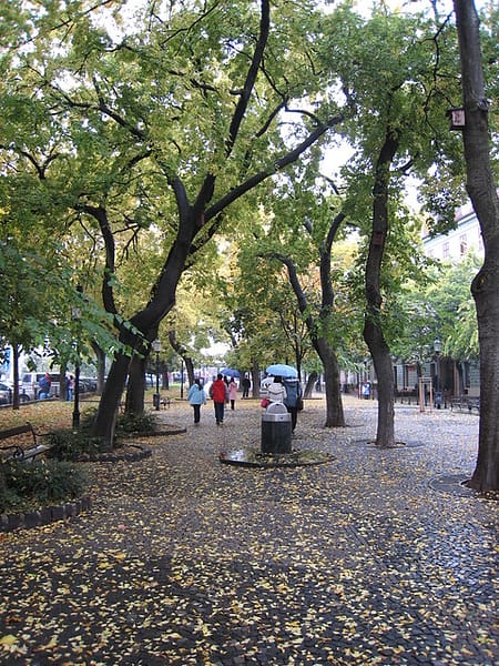加利利旅遊 捷克蜜月 Day2-1 斯洛伐克首都Bratislava - 第14張圖 加利利旅遊 捷克蜜月 Day2-1 斯洛伐克首都Bratislava