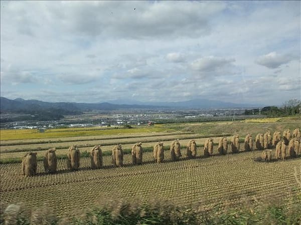 初秋日本東北 Day3-2 乳白色的誘惑 藏王溫泉