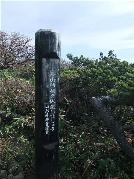 初秋日本東北 Day4-1 藏王纜車賞紅葉 - 第17張圖 初秋日本東北 Day4-1 藏王纜車賞紅葉