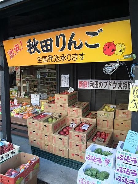 初秋日本東北 Day5-2 縱貫奧羽本線前往角館 - 第7張圖 初秋日本東北 Day5-2 縱貫奧羽本線前往角館