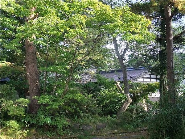 初秋日本東北 Day5-2 縱貫奧羽本線前往角館 - 第10張圖 初秋日本東北 Day5-2 縱貫奧羽本線前往角館