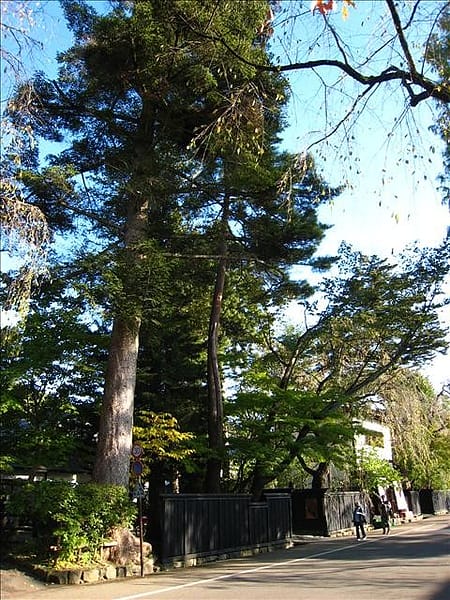 初秋日本東北 Day5-2 縱貫奧羽本線前往角館 - 第30張圖 初秋日本東北 Day5-2 縱貫奧羽本線前往角館