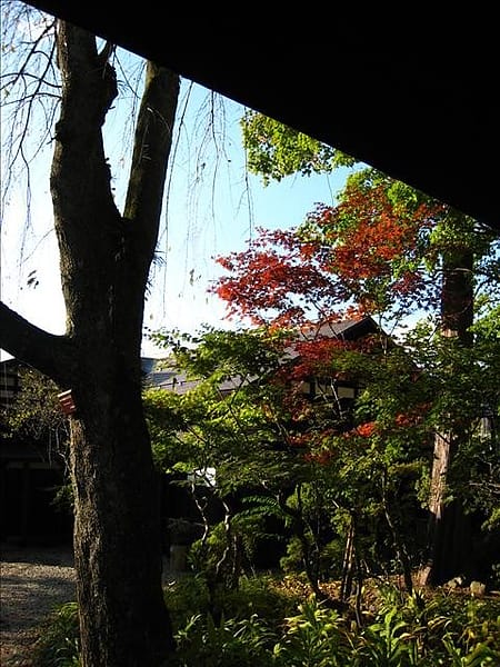 初秋日本東北 Day5-2 縱貫奧羽本線前往角館 - 第31張圖 初秋日本東北 Day5-2 縱貫奧羽本線前往角館