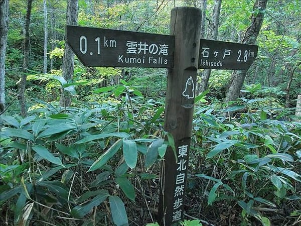 初秋日本東北 Day6-2 綠色的奧入瀨溪流