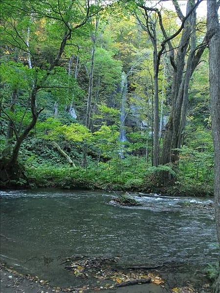 初秋日本東北 Day6-2 綠色的奧入瀨溪流