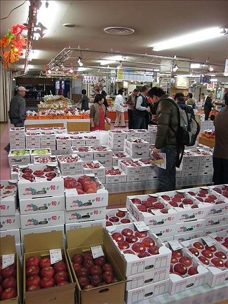初秋日本東北 Day6-2 綠色的奧入瀨溪流 - 第2張圖 初秋日本東北 Day6-2 綠色的奧入瀨溪流