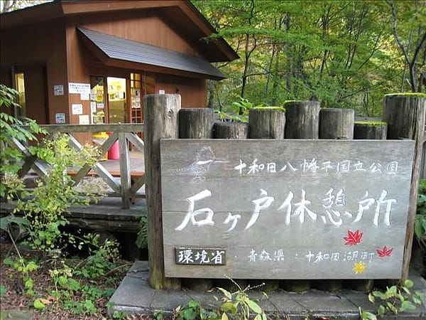 初秋日本東北 Day6-2 綠色的奧入瀨溪流