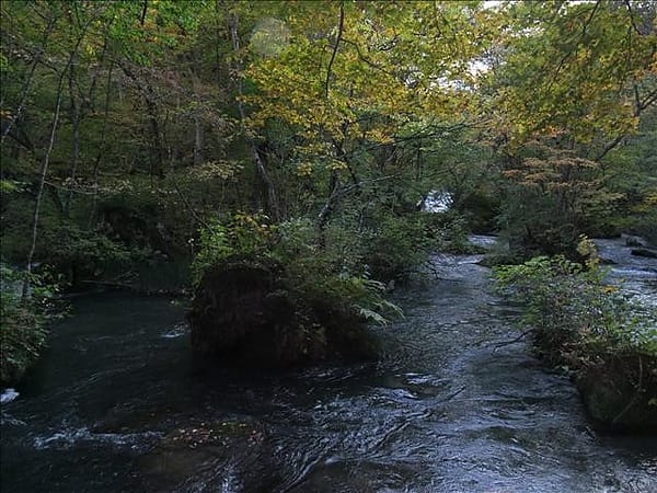 初秋日本東北 Day6-2 綠色的奧入瀨溪流