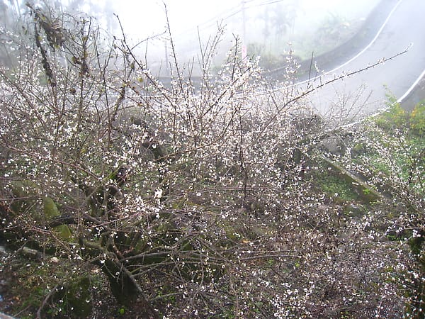 100108-00045.JPG
