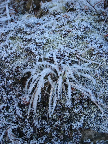 100109-00281.JPG