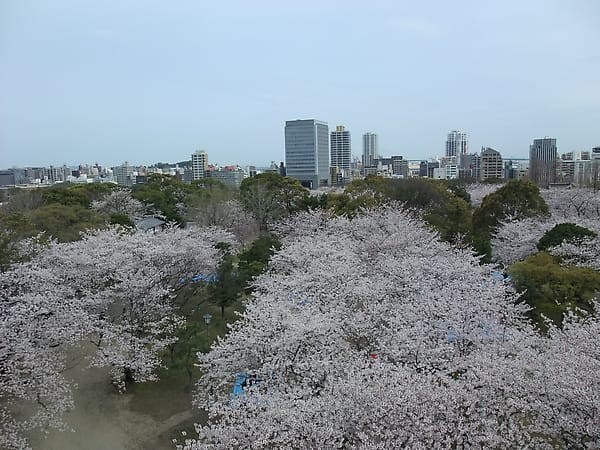 0021.JPG 0021.JPG
