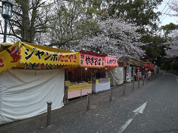 九州賞櫻之旅 Day2-2 賞櫻百選的西公園