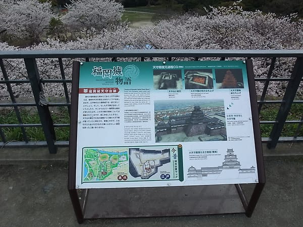 0017-1.JPG 0017-1.JPG