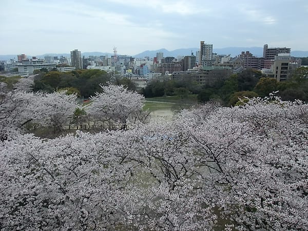 0022.JPG 0022.JPG