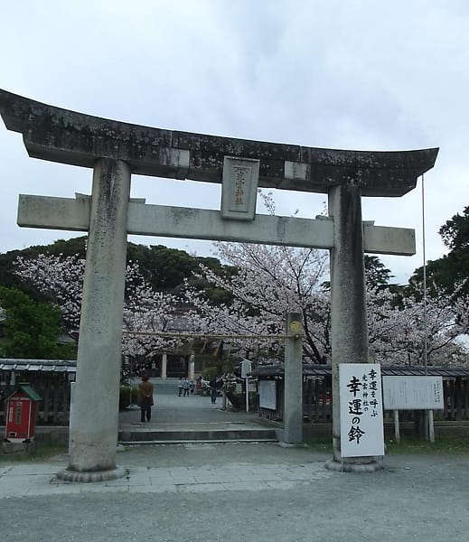 DSCF3498.JPG