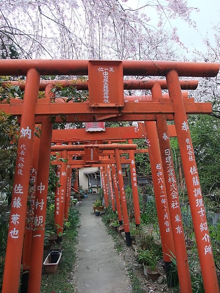 DSCF3517.JPG