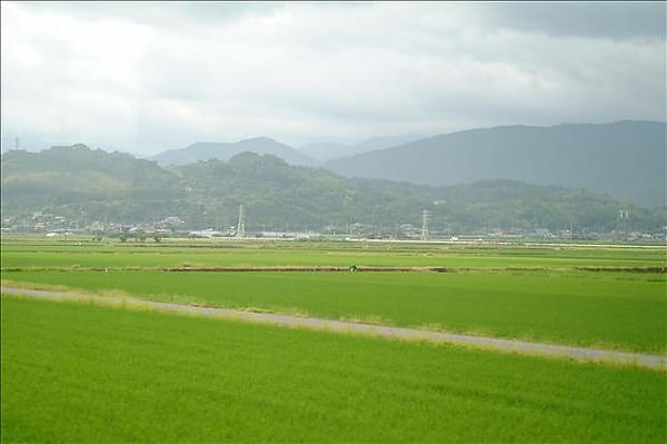 DSCF0062 DSCF0062