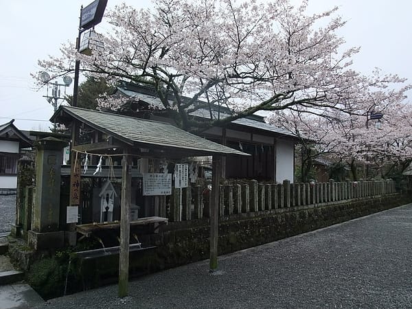 DSCF4075.JPG