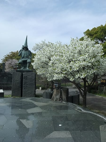 DSCF4337.JPG