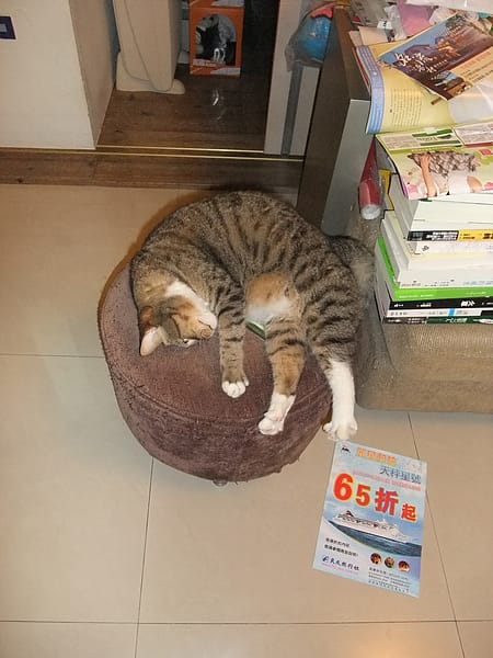 DSCF3291.JPG