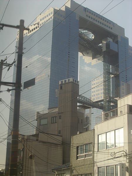 IMGP2419.JPG