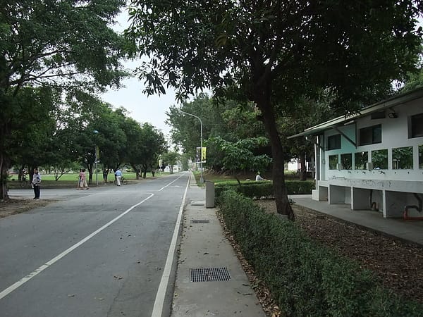 0005-3.JPG