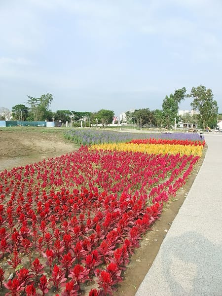 0009.JPG