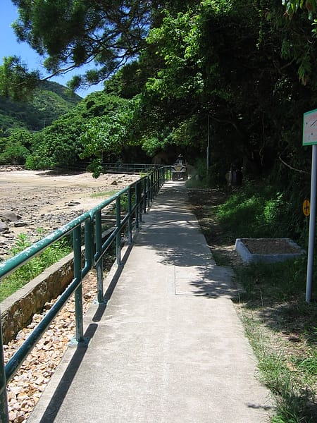 040.JPG