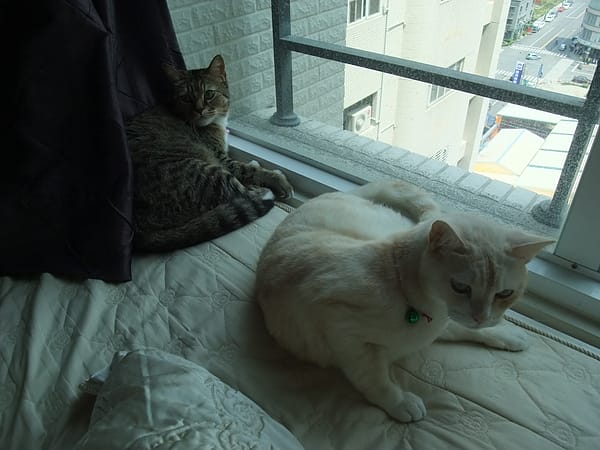 DSCF4698.JPG