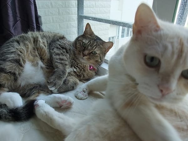 DSCF4705.JPG